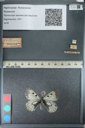 Media type: image;   Entomology 175496